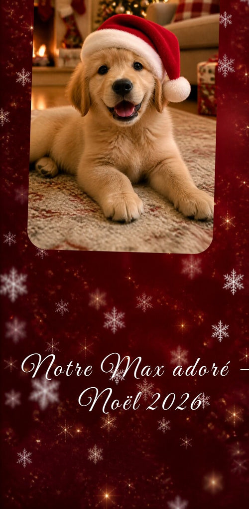 Boule de Noël Photo Personnalisée